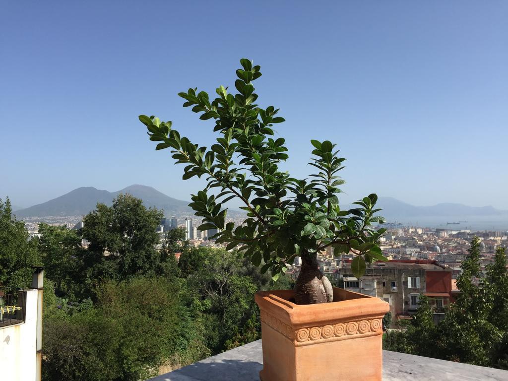 B&B La Veduta Naples Extérieur photo