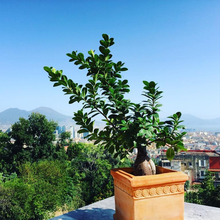 B&B La Veduta Naples Extérieur photo
